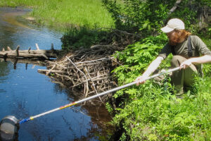 student in pond collecting specimans