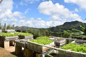 gardens sitting on top of mountains