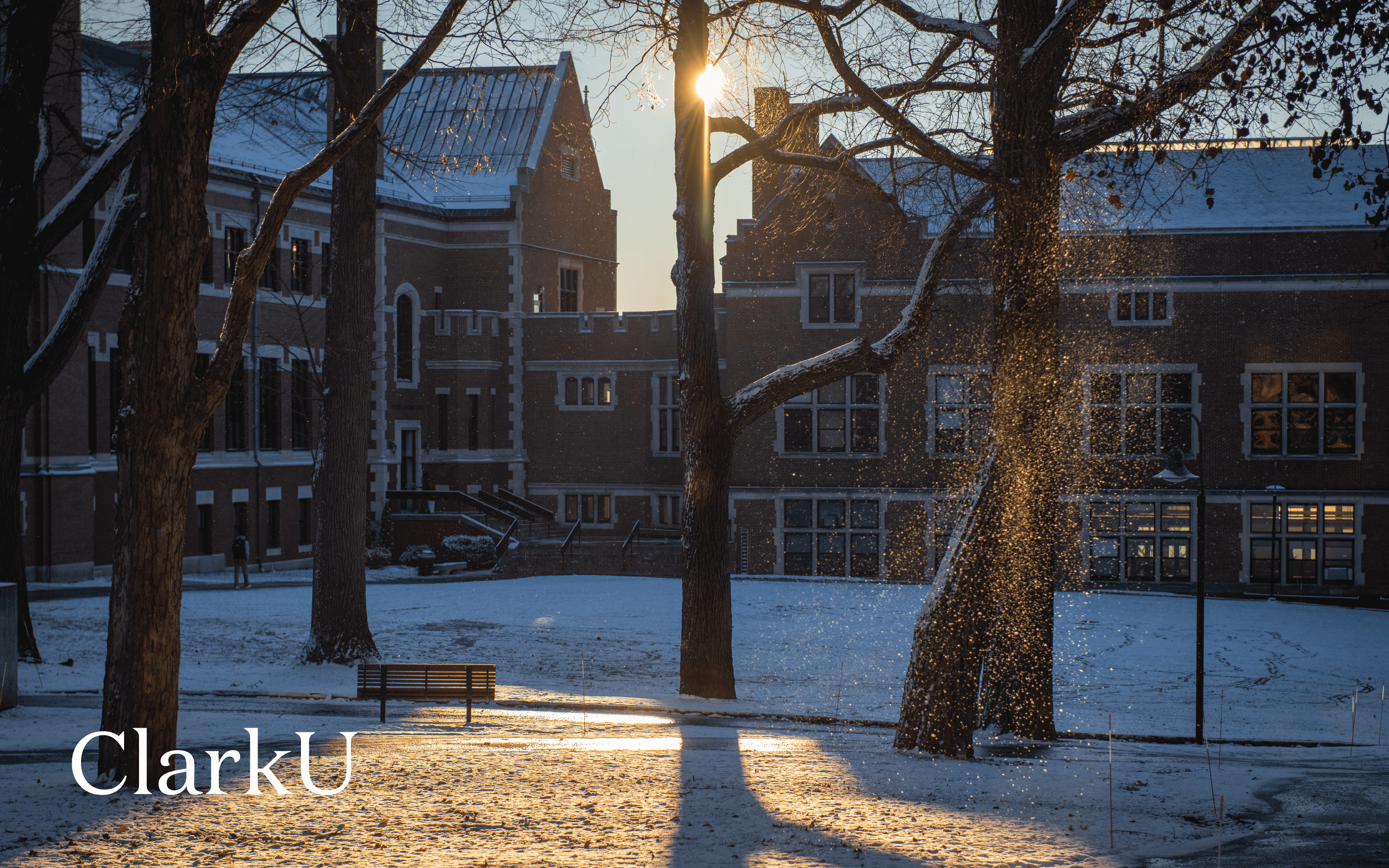 snow ice crystals falling from tree on campus green