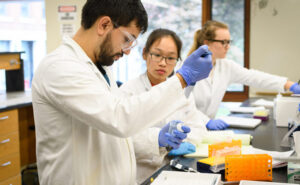 Students in chemistry lab