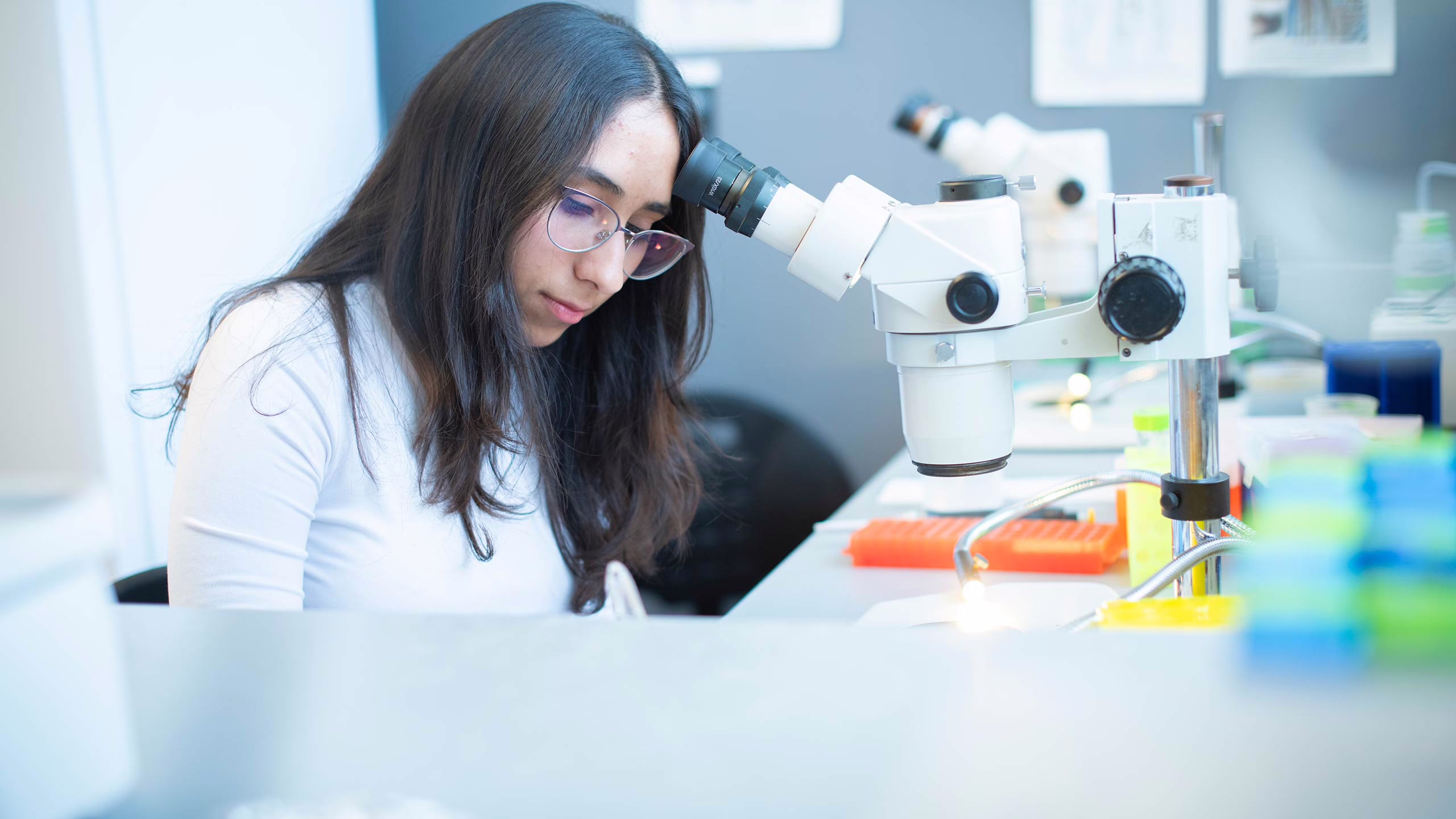 Biochemistry and molecular biology and molecular biology major, Krishna Gajjar ’25 in the lab