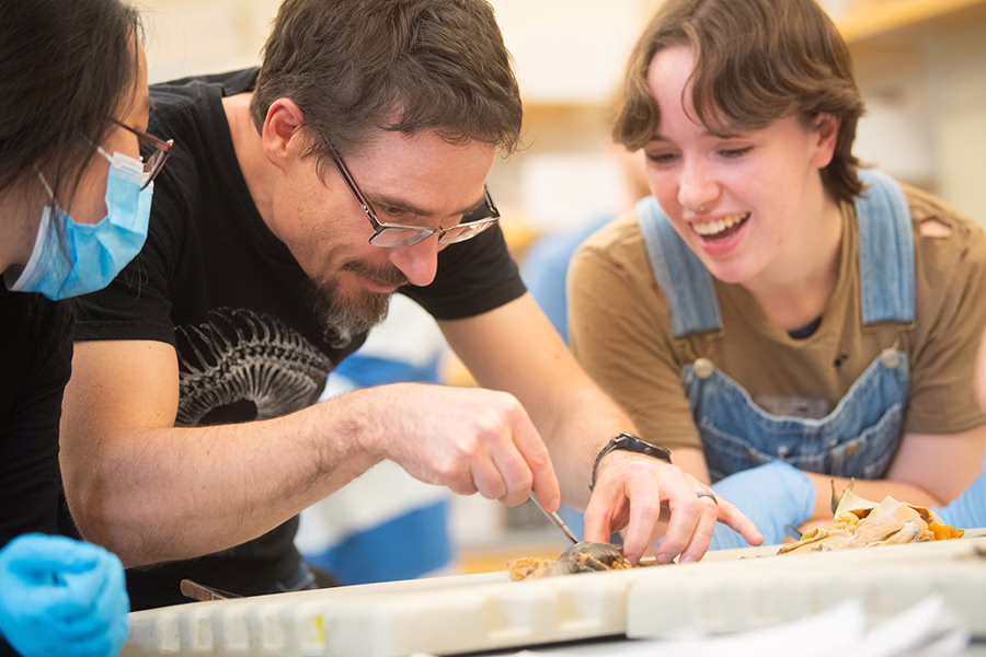 professor working on dissecting an animal