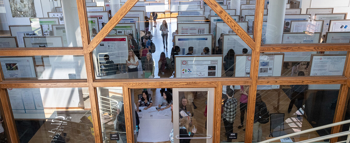 Students presenting posters in academic hall