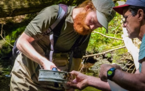 Environmental professors in the field collecting water samples