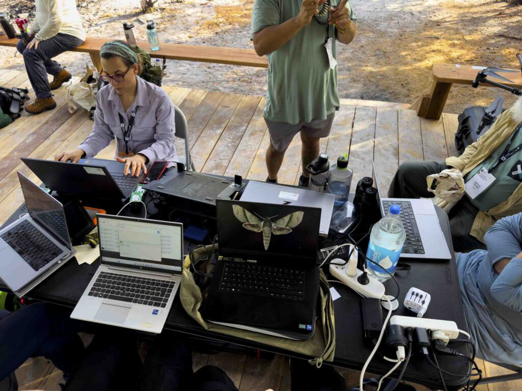 Florencia Sangermano conducting remote sensing research in Brazil