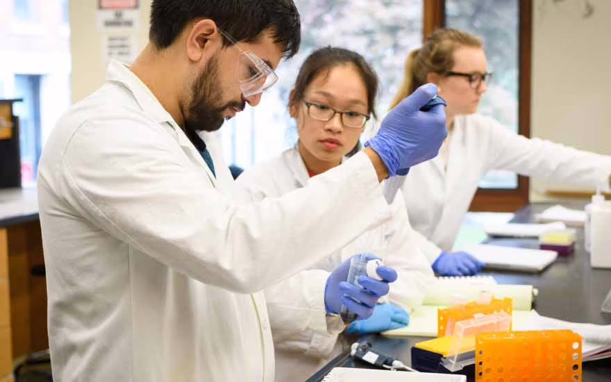 Graduate and undergraduate students work together in a biochemistry lab at Clark University