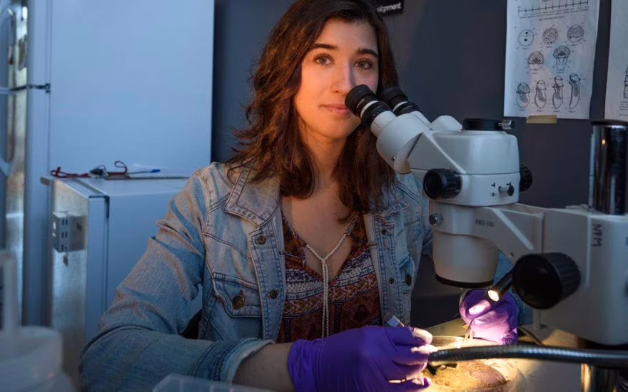 A Clark biology student sits at a microscope