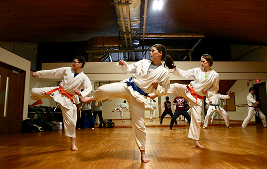 students doing karate