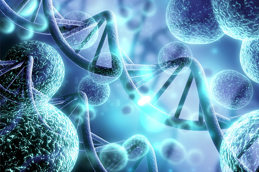 biology cells