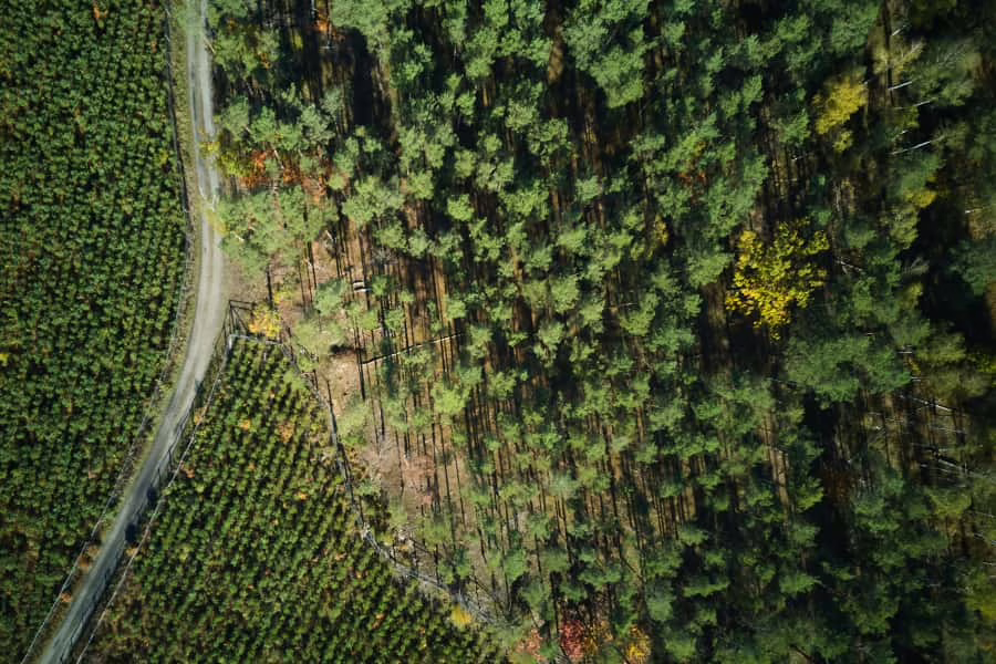 aerial photo of where farmland meets forest