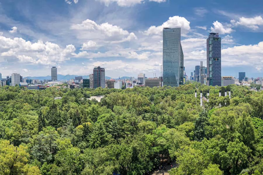 Mexico City buildings emerging from a canopy of trees