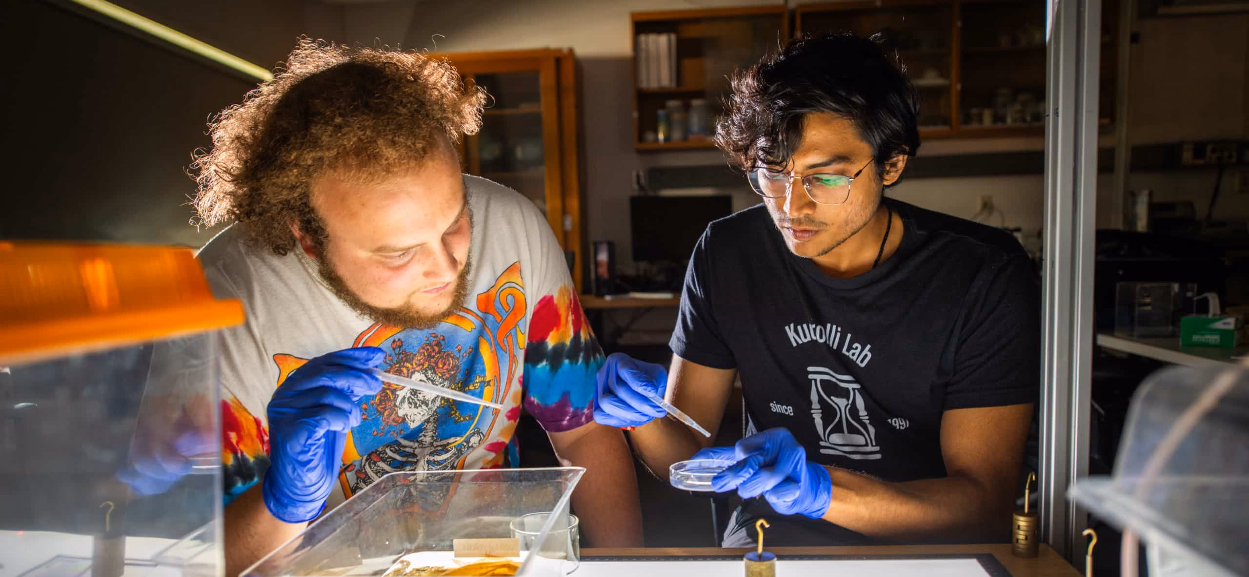 students study the properties of worms in the Kudrolli Lab