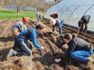 Students from the studio course are farming.