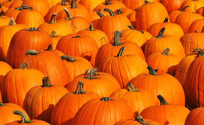 Pumpkins