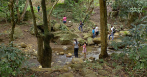 south americans walking down pa