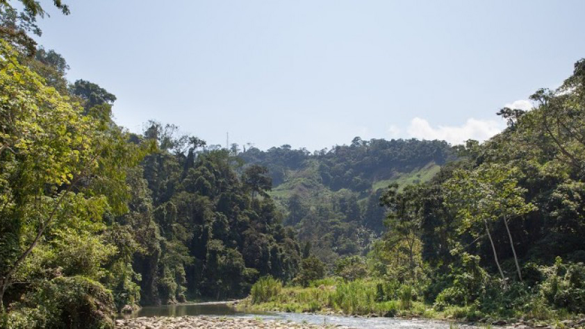 Powering Consent: Mapping battery mineral company public commitments informed consent