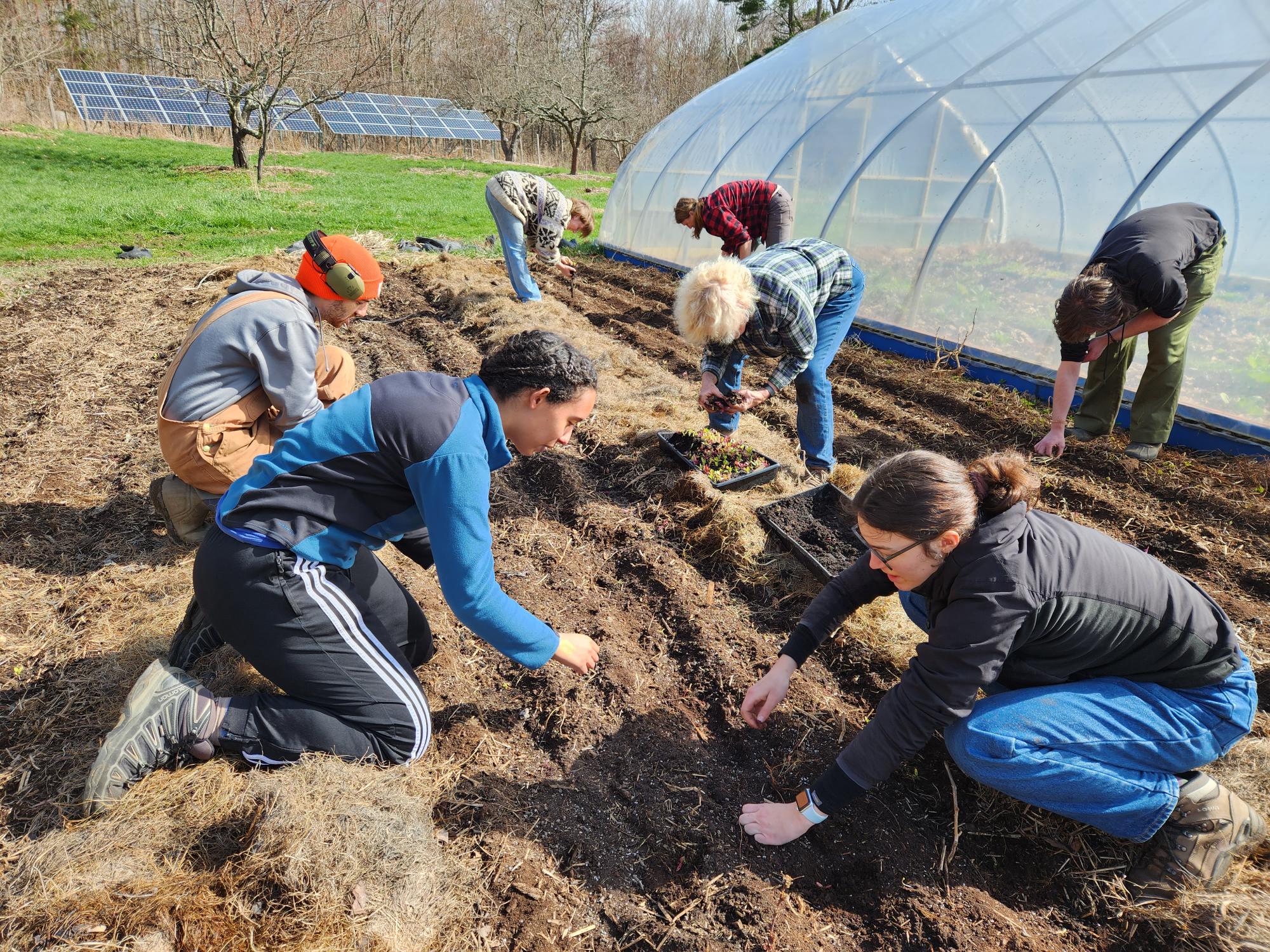 Poster Exhibition – Farming For Multispecies Justice: Food Security, Racial Capitalism, and Abolitionist Agroecology