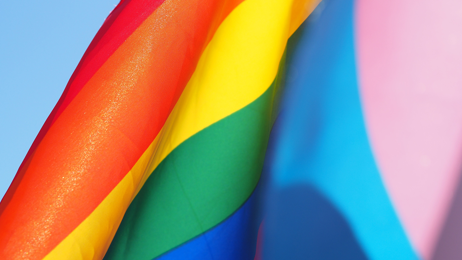 Pride Month Celebration