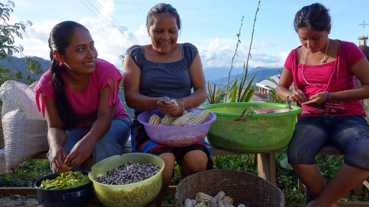 Environmental Science presents screening of ‘SEED: The Untold Story’