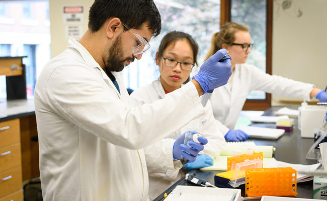 The Culture of International Business Presentations