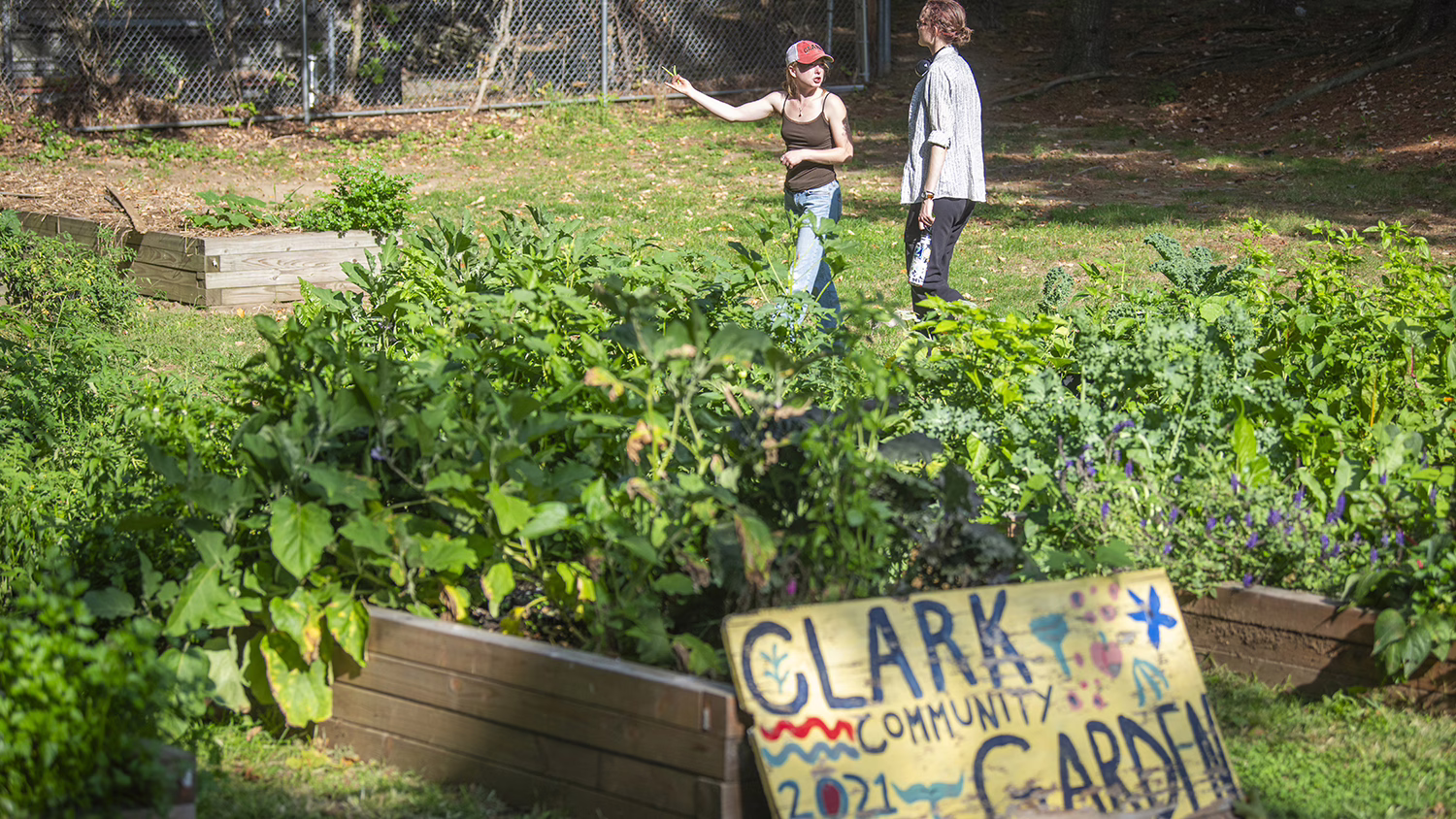Clark Community Garden in fall 2025