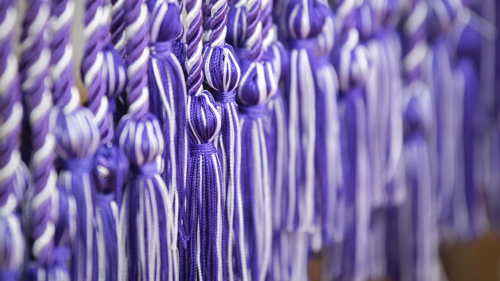 Lavender graduation cords