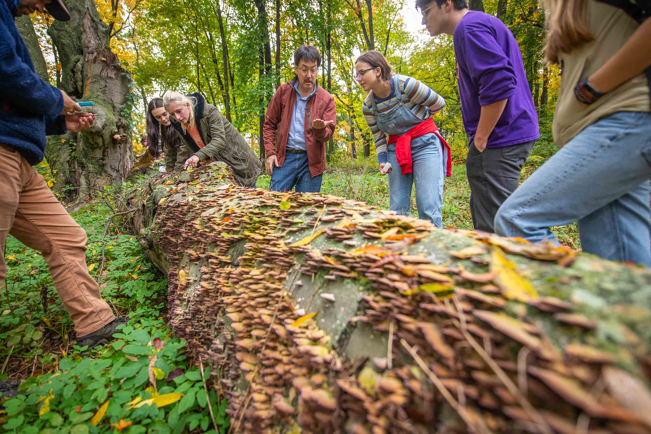 David Hibbett foraging for mushrooms with one of his classes