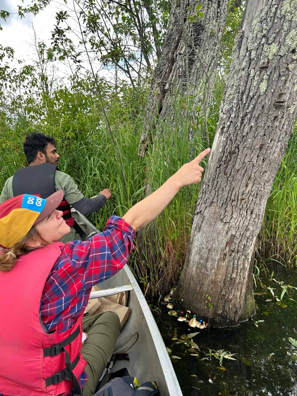 Devon Rose Leaver in a canoe pointing towards a  phellinus specimen