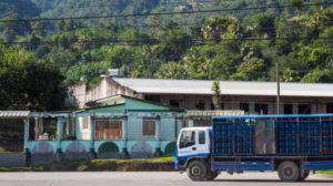 house in Jamaica with truck in front of it.