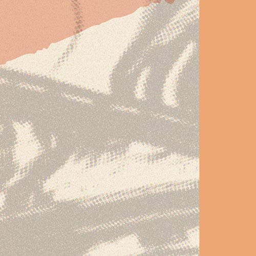 Graphic design for an event  in the Democracy, Resistance, & Oppression Series at the Center for Center, Race and Area Studies, Clark University