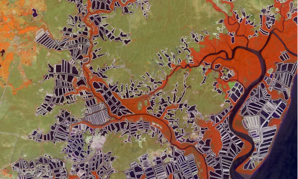 False color satellite imagery highlighting mangrove forest vs pond aquaculture.