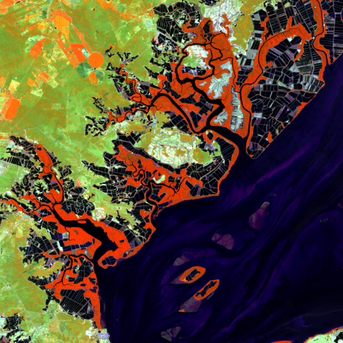 Pond Aquaculture and its Impact on Mangroves and Other Coastal Wetlands