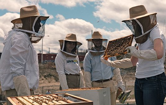 graduate students in bee gear