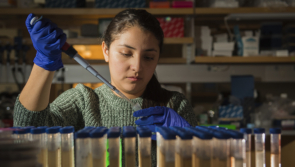 graduate female studenyt in chemistry