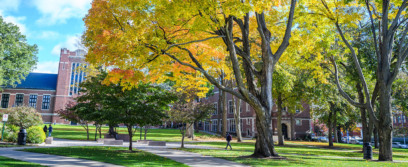 campus green