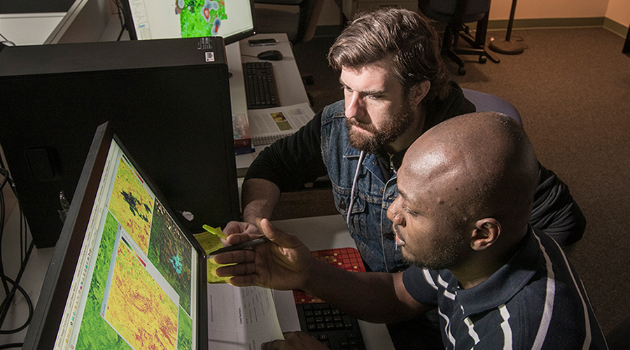 professor with graduate student looking at maps online