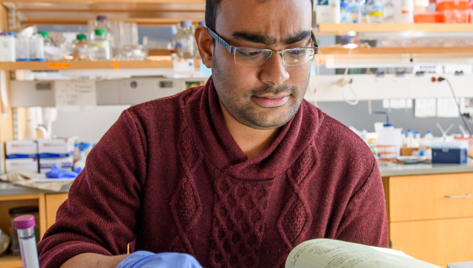 graduate student looking over bok in lab