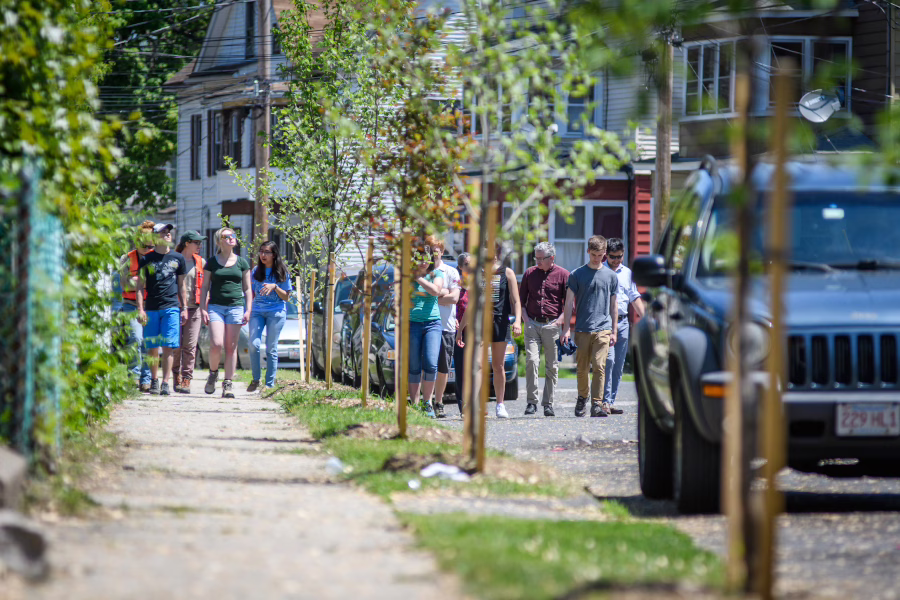 A walk through a planting zone with DCR