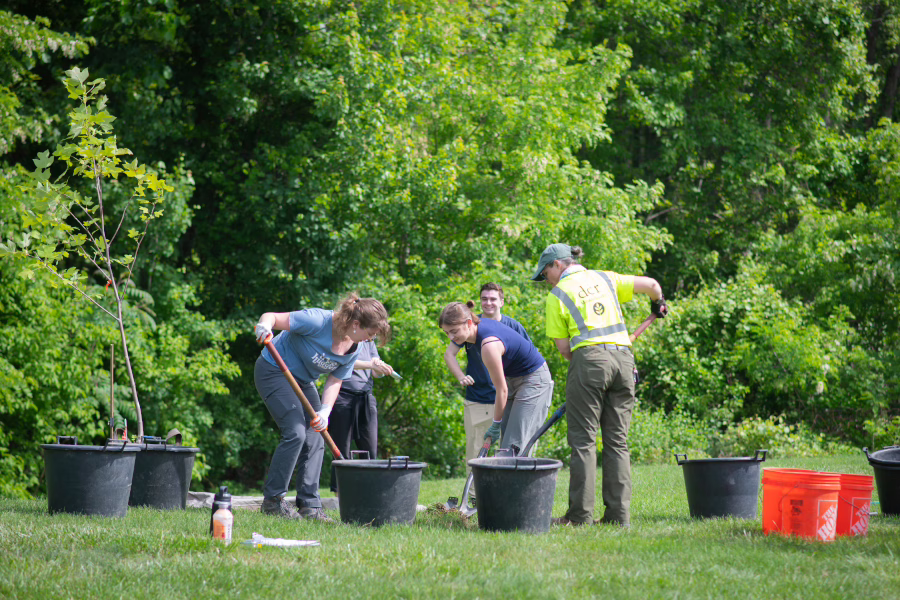 HERO students plant trees with DCR foresters
