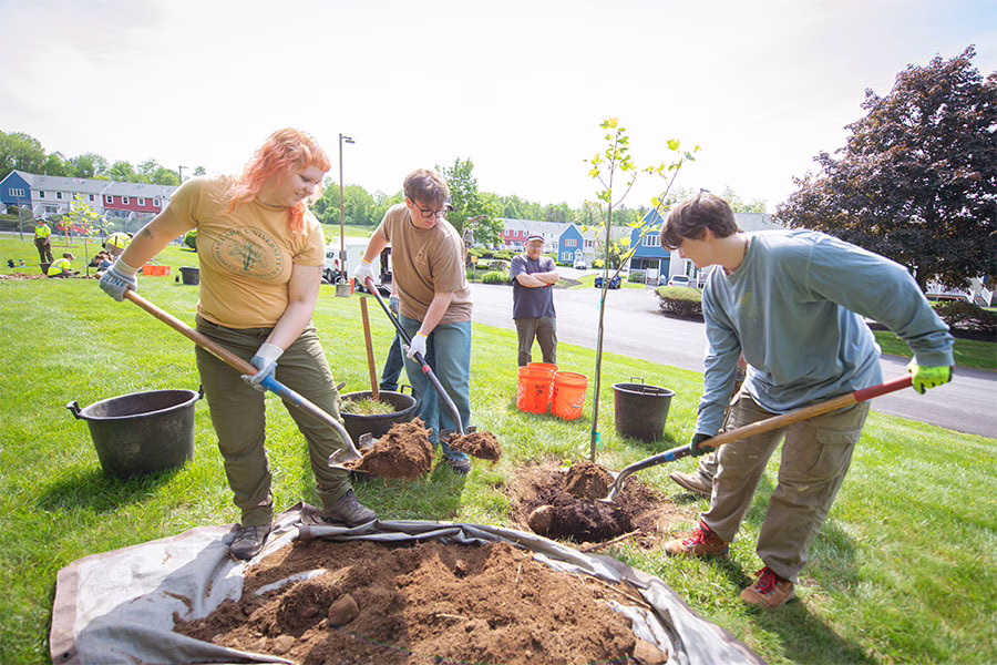 HERO students planting trees