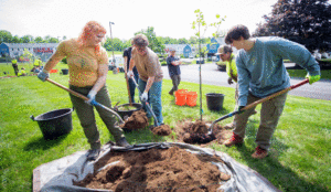 HERO students planting a tree