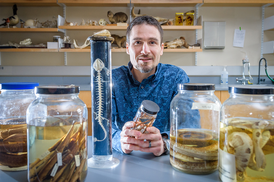 clark staff - faculty