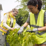 Student examining tree with DCR employee