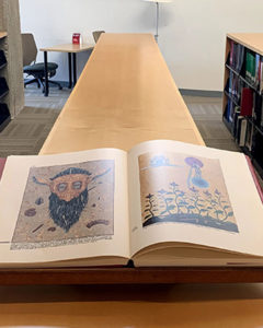 library book layed out on table