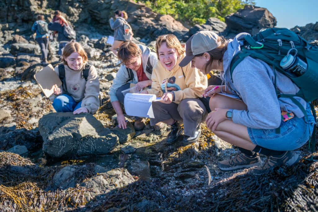 Biology students gather specimens at the shore in Nahant.