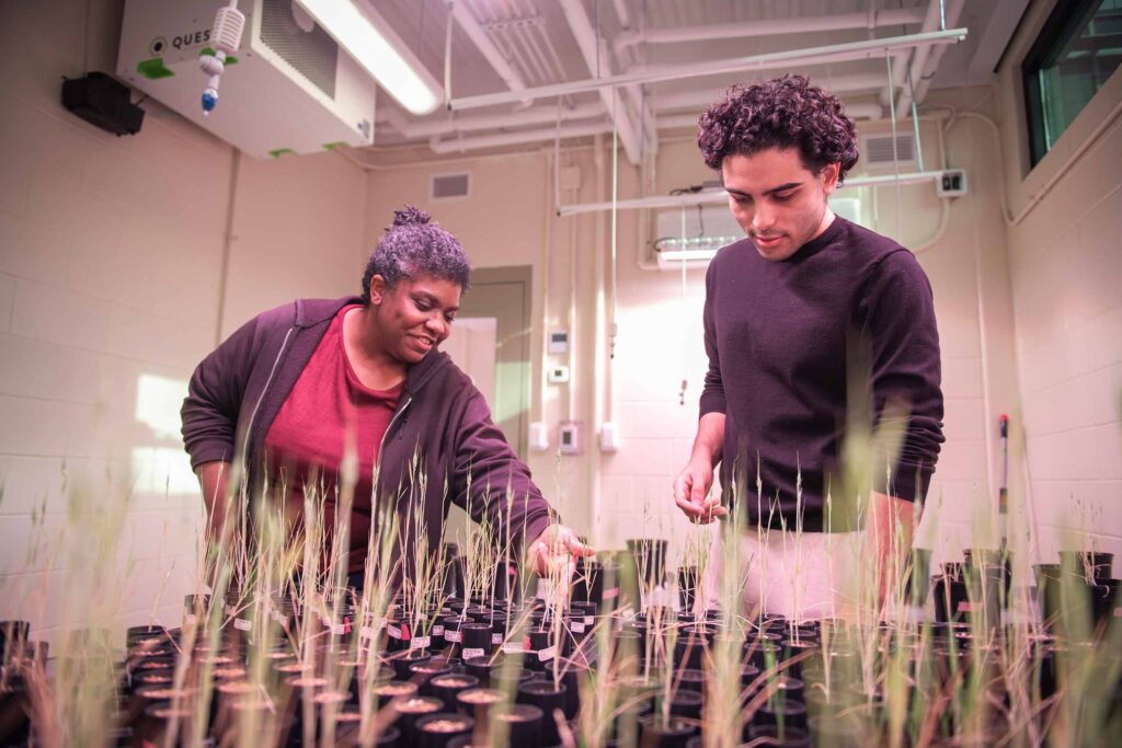 Biology Professor Chandra Jack works with a student researcher on plant studies in Clark’s EPIC lab.