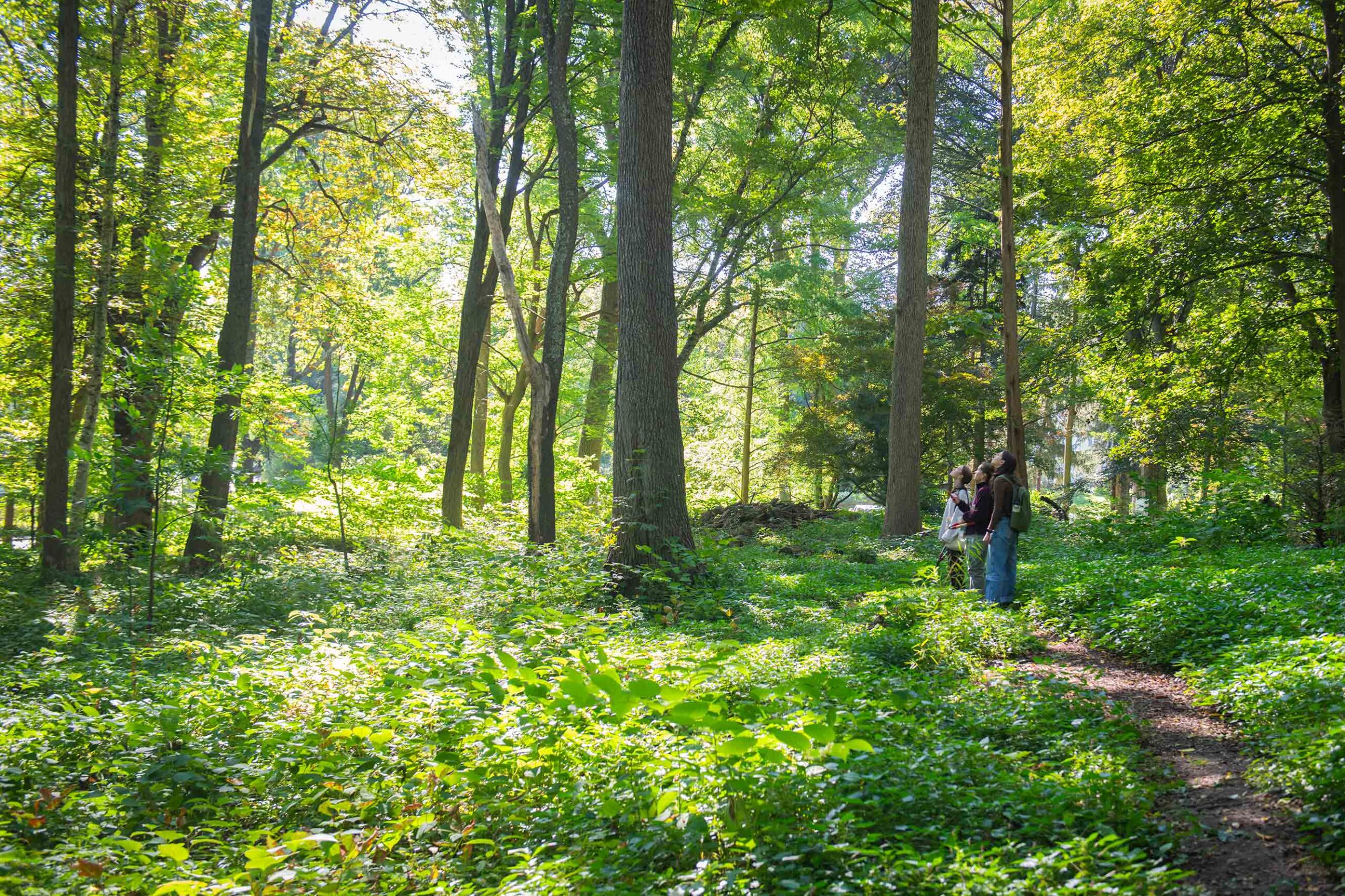 Students explore Hadwen Arboretum in a class outing