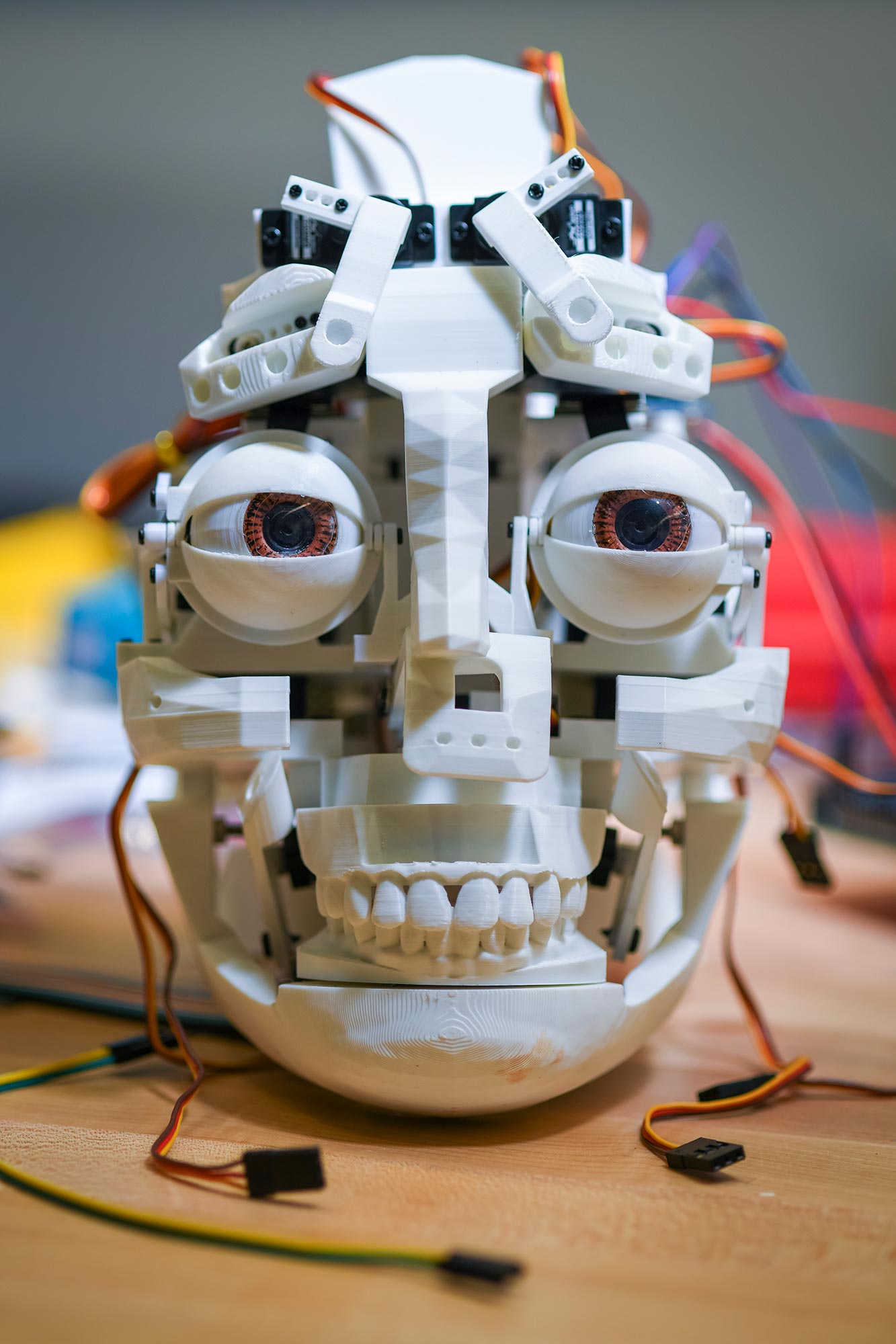Robotic head, Clark University