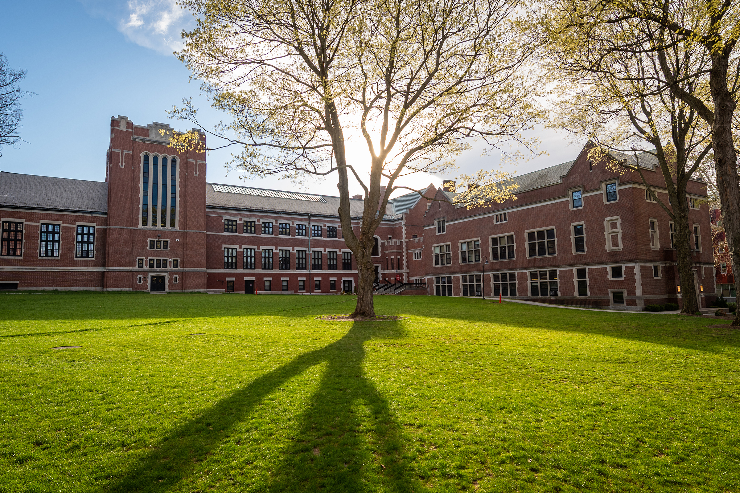 Jefferson Academic Center - large oak