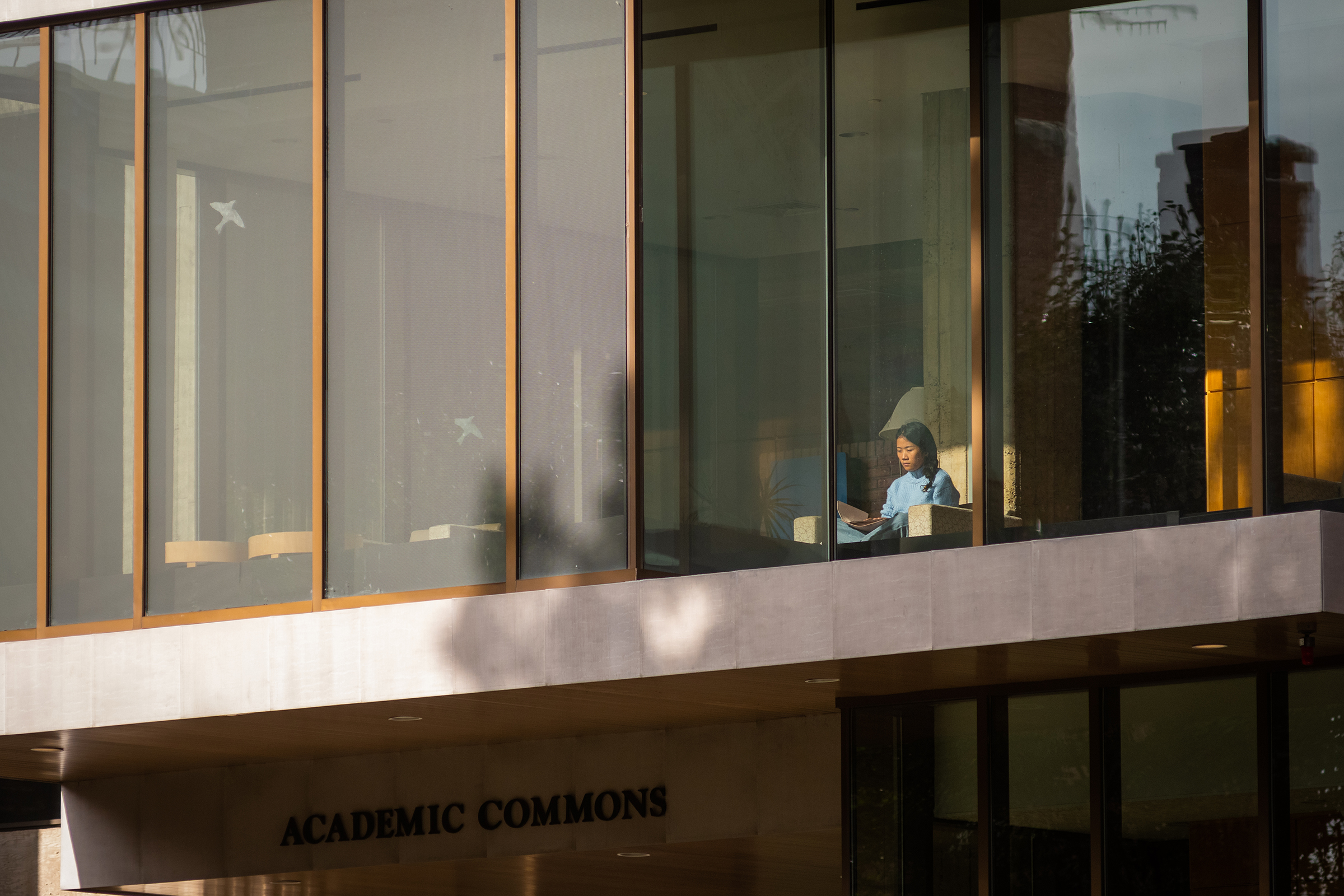 Goddard Library - female sitting in front of windows